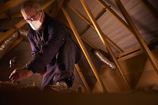 Best Insulation Materials and Products in St Michael, MN